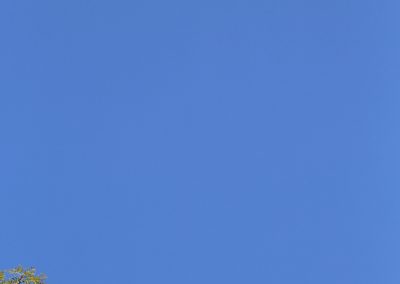 Himmel mit Baum