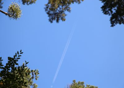 Himmel mit Flugzeug